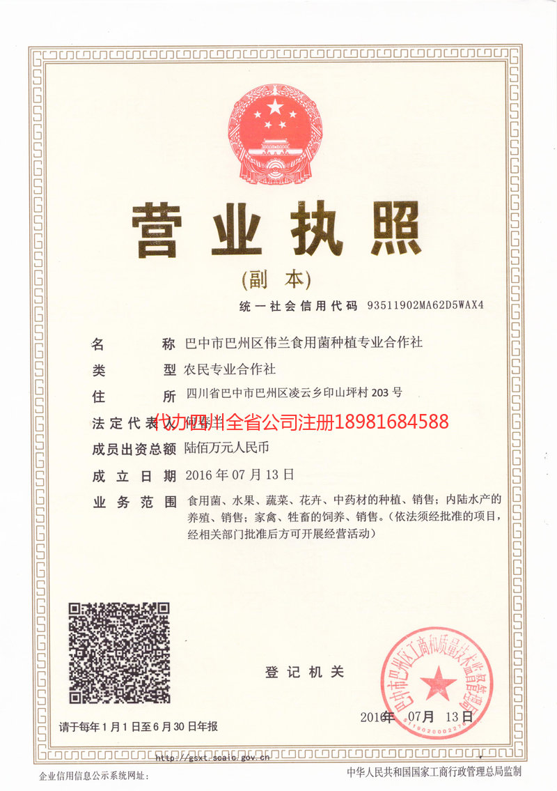 河北河北伟兰食用菌种植专业合作社